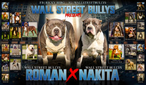 Read more about the article Roman X Nakita