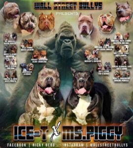 Read more about the article Ice t X Ms. Piggy